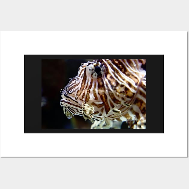 LION FISH Wall Art by likbatonboot